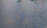 Уборка школ и дошкольных учреждений в Краснодаре - 17 клининг спортзала школы